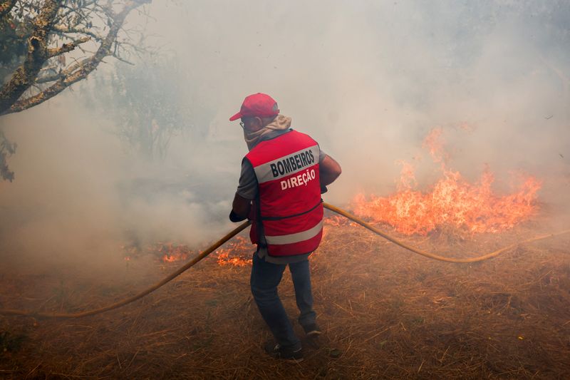 &copy; Reuters. Bombeiros combatem incêndio em Penalva do Castelo, em Portugaln16/09/2024 REUTERS/Pedro Nunes