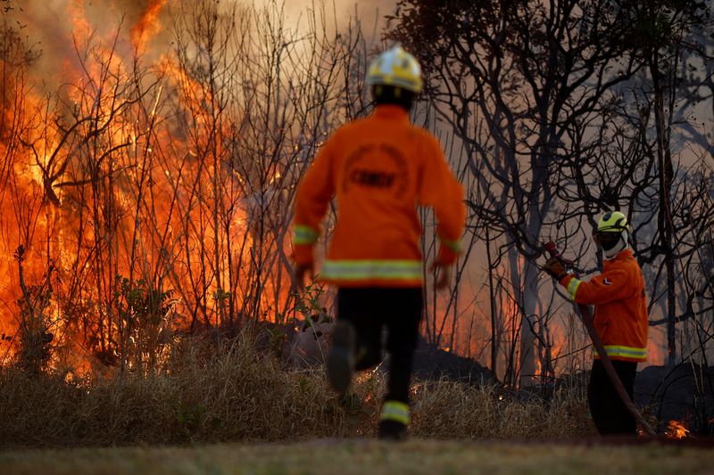 &copy; Reuters. Bombeiros combatem incêndio em parque de Brasílian17/09/2024nREUTERS/Adriano Machado