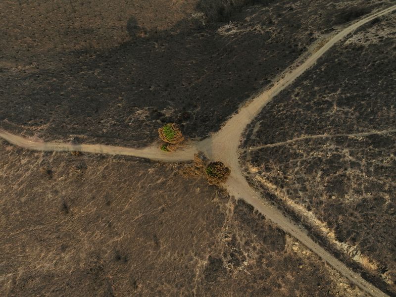 &copy; Reuters. FILE PHOTO: A drone view shows a burned area following a recent wildfire on Mount Penteli, near Athens, Greece, August 29, 2024. REUTERS/Stelios Misinas/File Photo