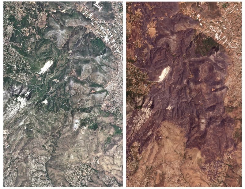 © Reuters. A combination of satellite images shows Mount Penteli (left) before the summer wildfires, August 14, 2020, and (right) following the summer wildfires, August 14, 2024, Penteli, Greece. 2024 Planet Labs Inc/Handout via REUTERS