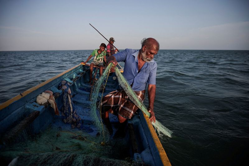 © Reuters. Fisherman Parasamy Thanabalasingam, 62, catches fish in the waters of the Indian Ocean, off the coast of Jaffna, Sri Lanka, September 17, 2024. REUTERS/Navesh Chitrakar