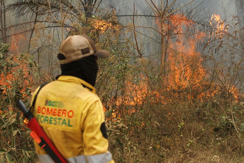 &copy; Reuters. FILE PHOTO: A forest firefighter looks at an area affected by wildfires in the community of Palestina, in Concepcion, Bolivia September 13, 2024. REUTERS/Ipa Ibanez/File Photo