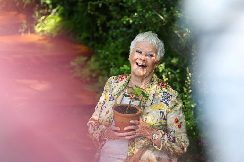 &copy; Reuters. British actress Dame Judi Dench poses with a seedling from the Sycamore Gap tree that was felled by vandals at Hadrian's Wall in Northumberland, at Chelsea Flower Show, in London, Britain, May 20, 2024. REUTERS/Toby Melville/File Photo