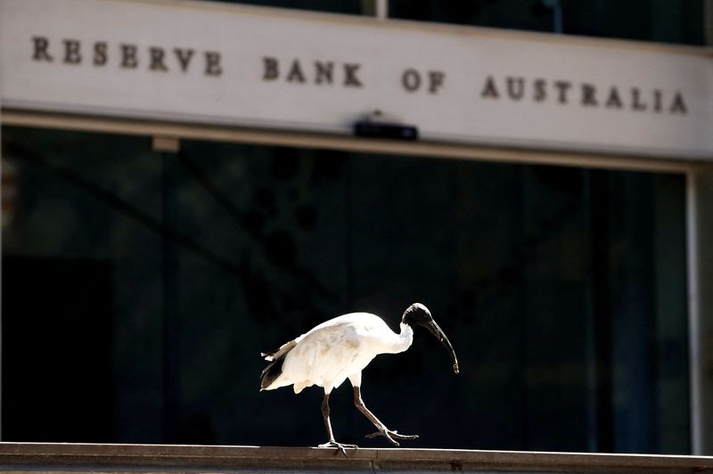 © Reuters. FILE PHOTO: An ibis bird stands near the headquarters of the Reserve Bank of Australia in central Sydney, Australia, February 6, 2018. REUTERS/Daniel Munoz/File Photo