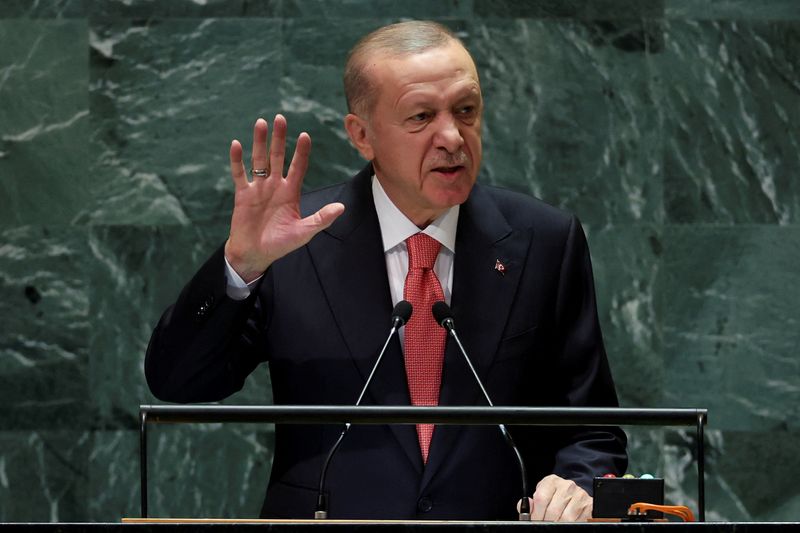 &copy; Reuters. Turkey's President Tayyip Erdogan addresses the 79th United Nations General Assembly at U.N. headquarters in New York, U.S., September 24, 2024.  REUTERS/Mike Segar