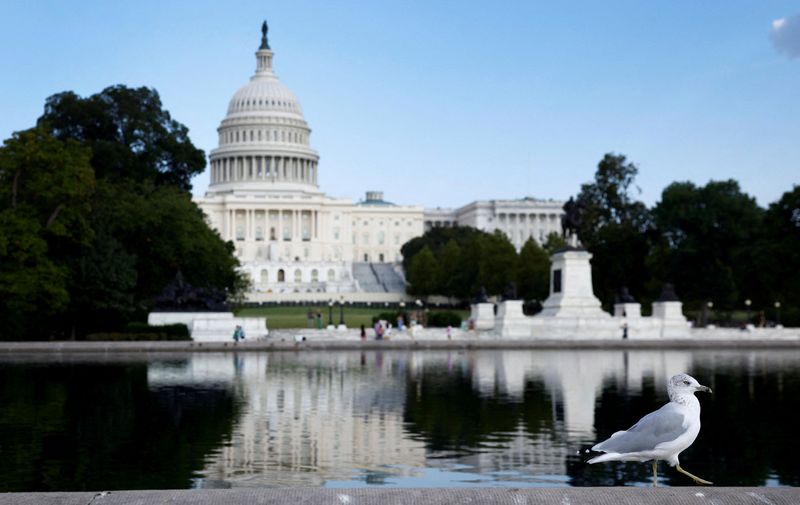 © Reuters. A seagull walks in front of the U.S. Capitol in Washington, DC, U.S., September 20, 2024. REUTERS/Piroschka van de Wouw/File Photo