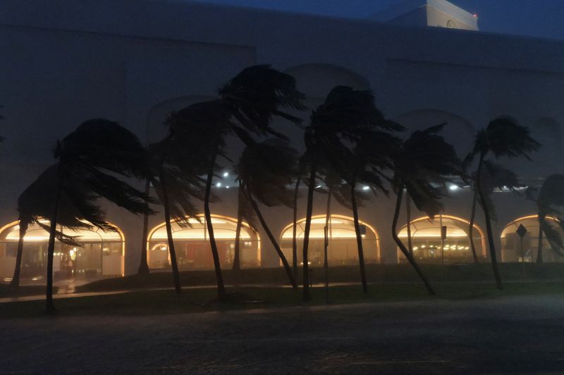 &copy; Reuters. Palm trees sway by heavy winds and rain caused by Tropical Storm Helene, in Cancun, Mexico September 25, 2024. REUTERS/Paola Chiomante