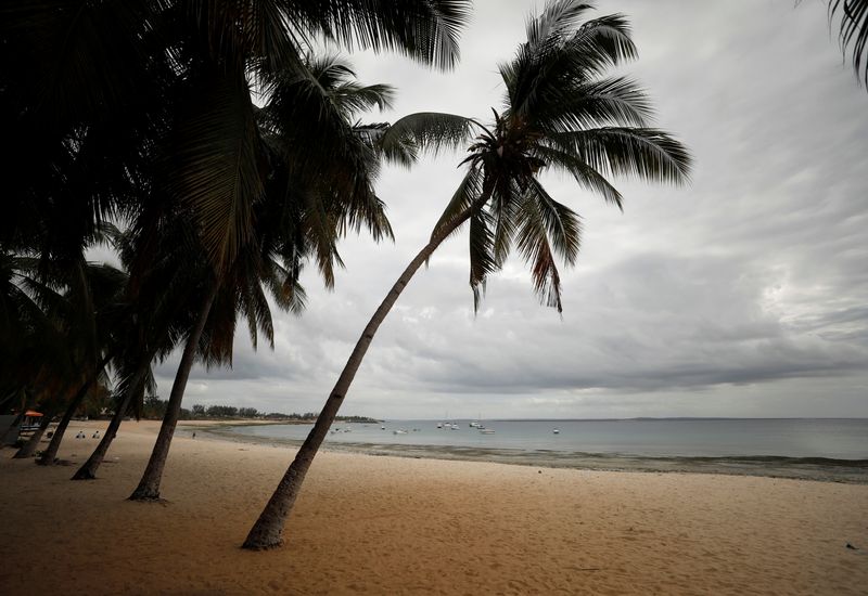 © Reuters. FILE PHOTO: Palms are seen on an empty tourist beach in Pemba, Mozambique, July 13, 2018. Picture taken July 13, 2018. REUTERS/Mike Hutchings/File Photo