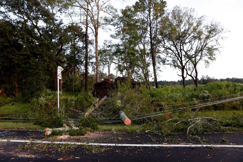 &copy; Reuters. Árvores e linhas de energia afetadas pela tempestade Helene em Crawfordville, Flóridan 27/9/2024    REUTERS/Marco Bello