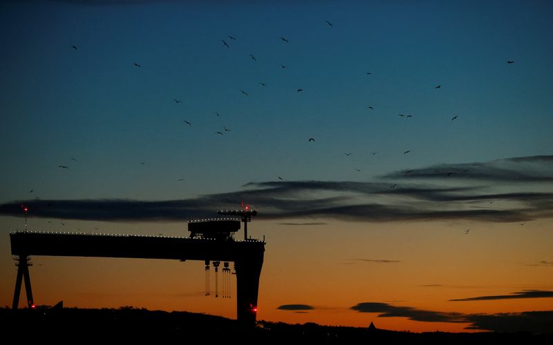 &copy; Reuters. FILE PHOTO: Birds fly around one of the cranes at the Harland and Wolff shipyard at sunrise in Belfast, Northern Ireland, Britain January 1, 2021. REUTERS/Phil Noble/File Photo