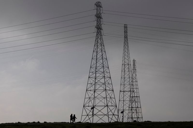 © Reuters. FILE PHOTO: Residents walk by power grid towers at Bair Island State Marine Park in Redwood City, California, United States, January 26, 2022. REUTERS/Carlos Barria/File Photo