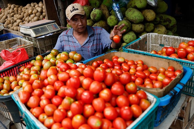 © Reuters. Aman Iskandar, a vendor, 52, sorts tomatoes while waiting for customers at a traditional market, in Jakarta, Indonesia October 1, 2024. REUTERS/Willy Kurniawan