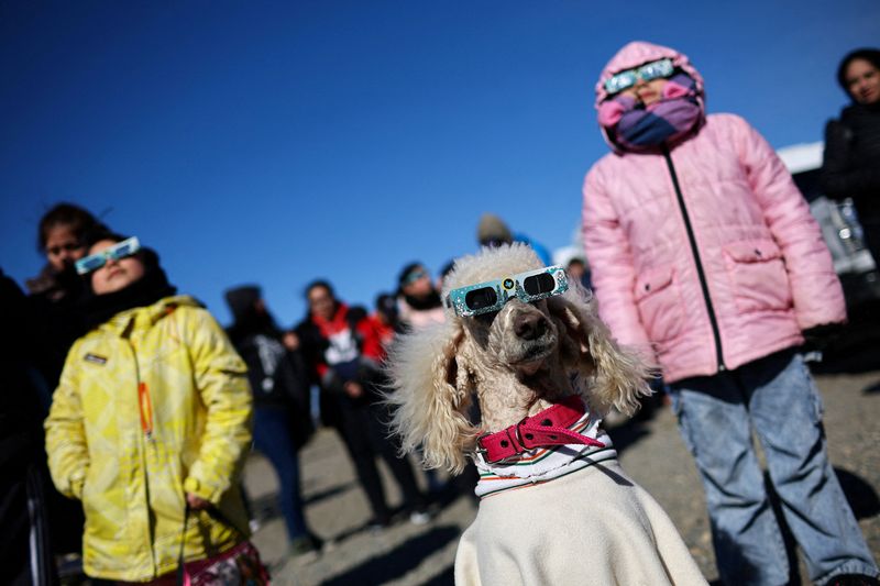 &copy; Reuters. Dana the dog wears glasses as people watch an annular solar eclipse, in Las Horquetas, Santa Cruz, Argentina, October 2, 2024. REUTERS/Agustin Marcarian  