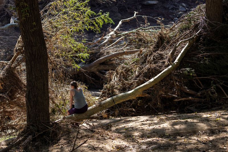 Will Asheville's once-booming riverfront art district ever recover from Helene?