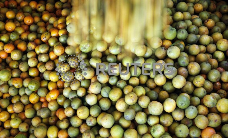 &copy; Reuters. Laranjas são carregadas em caminhão em fazenda em Limeiran13/01/2012nREUTERS/Paulo Whitaker