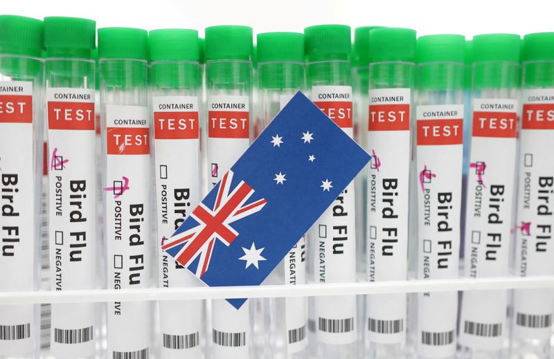 &copy; Reuters. FILE PHOTO: Test tubes labelled "Bird Flu" and a piece of paper in the colours of the Australian national flag are seen in this picture illustration, January 14, 2023. REUTERS/Dado Ruvic/Illustration/File Photo