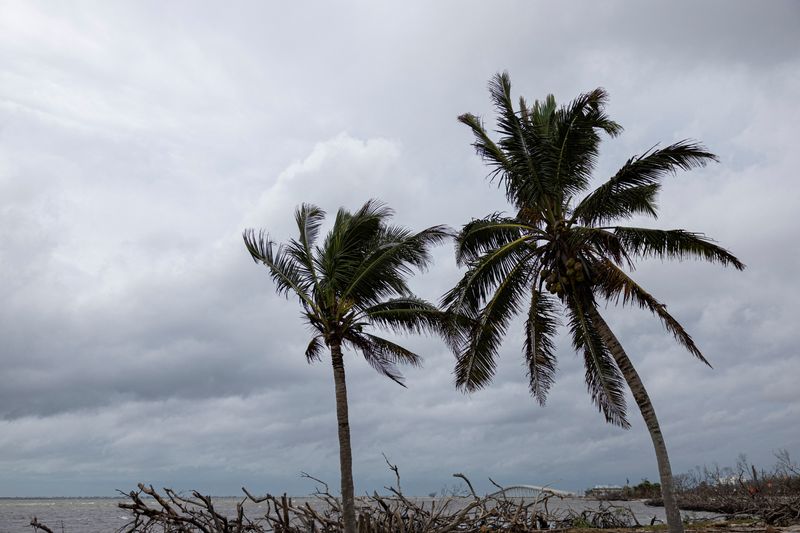 &copy; Reuters. Wind blows over palm trees, as the Sanibel Island bridge is seen in the background, as Hurricane Milton approaches Fort Myers, Florida, U.S. October 9, 2024. REUTERS/Ricardo Arduengo