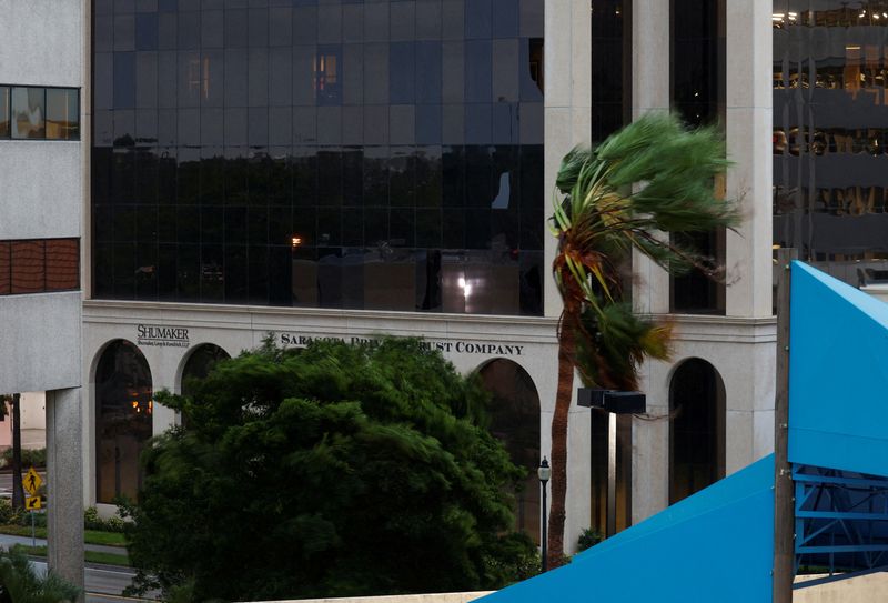 &copy; Reuters. A palm tree stands as wind blows near a building with broken windows, while Hurricane Milton approaches Sarasota, in Florida, U.S., October 9, 2024.  REUTERS/Marco Bello