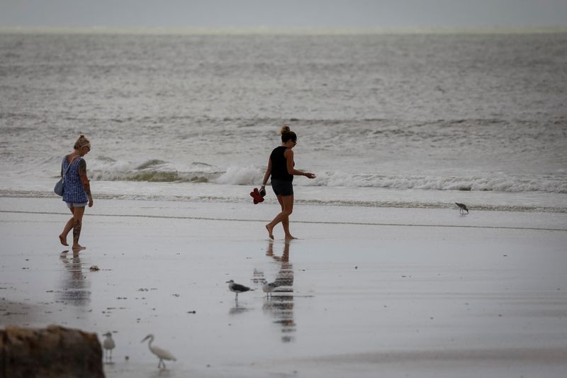 © Reuters. Siesta Key, Florida, October 11, 2024.  REUTERS/Marco Bello