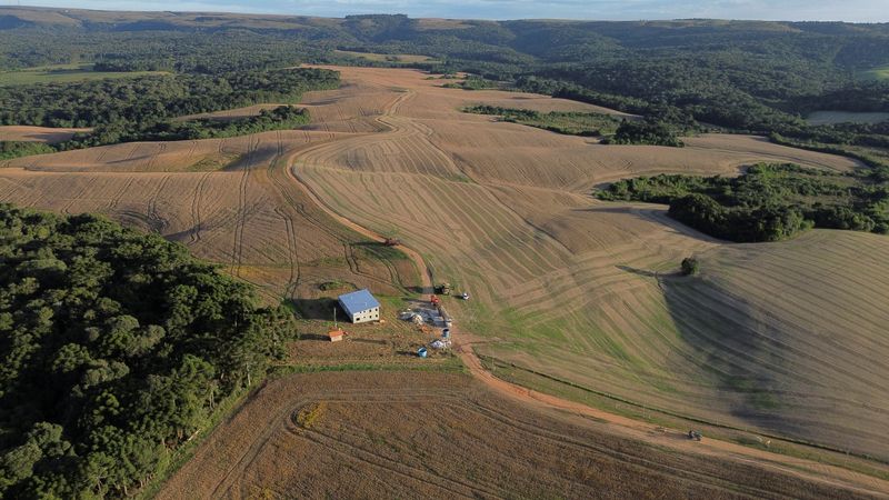 © Reuters. FILE PHOTO: Soybeans are harvested from a field in Ponta Grossa, Parana state, Brazil April 25, 2023. REUTERS/Rodolfo Buhrer/File Photo