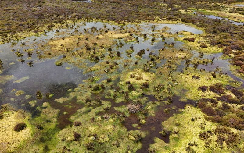 © Reuters. A drone view shows the Guatavita lagoon forest reserve, located in a paramo that regulates the water cycle by absorbing and slowly releasing rainfall, in Guatavita, Colombia September 30, 2024. REUTERS/Luisa Gonzalez