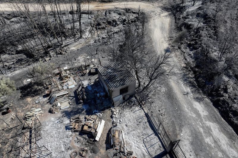 &copy; Reuters. Vista de área atingida por incêndio na vila de Rapentosa, na Grécian13/08/2024 REUTERS/Fedja Grulovic