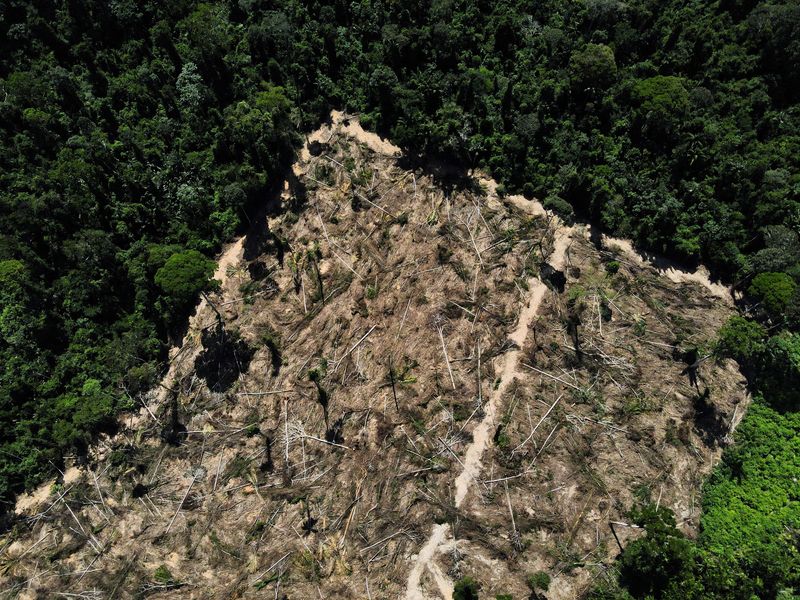 © Reuters. FILE PHOTO: A view of a deforested area in the middle of the Amazon forest, near the BR-230 highway, known as Transamazonica, in the municipality of Uruara, Para, Brazil, July 14, 2021.  REUTERS/Bruno Kelly/File Photo