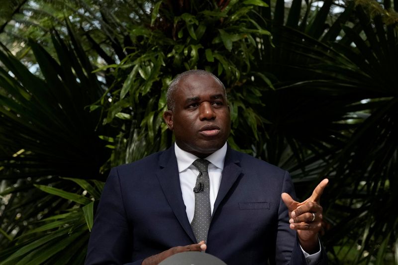 © Reuters. FILE PHOTO: Britain's Foreign Secretary David Lammy gestures while speaking about climate and environment policy at Kew Gardens in London, Britain September 17, 2024. Frank Augstein/Pool via REUTERS/File Photo