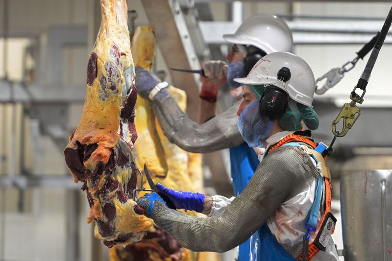 &copy; Reuters. Workers process meat at the Monbeef abattoir in Cooma, Australia, October 10, 2024. REUTERS/Tracey Nearmy/File Photo