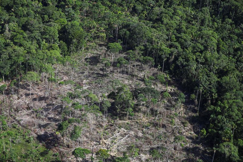 &copy; Reuters. Área desmatada que, segundo autoridades, é usada para plantações de folhas de coca é vista durante sobrevoo da polícia antinarcóticos colombiana em Putumayo, Colômbian12/11/2023nREUTERS/Luisa Gonzalez