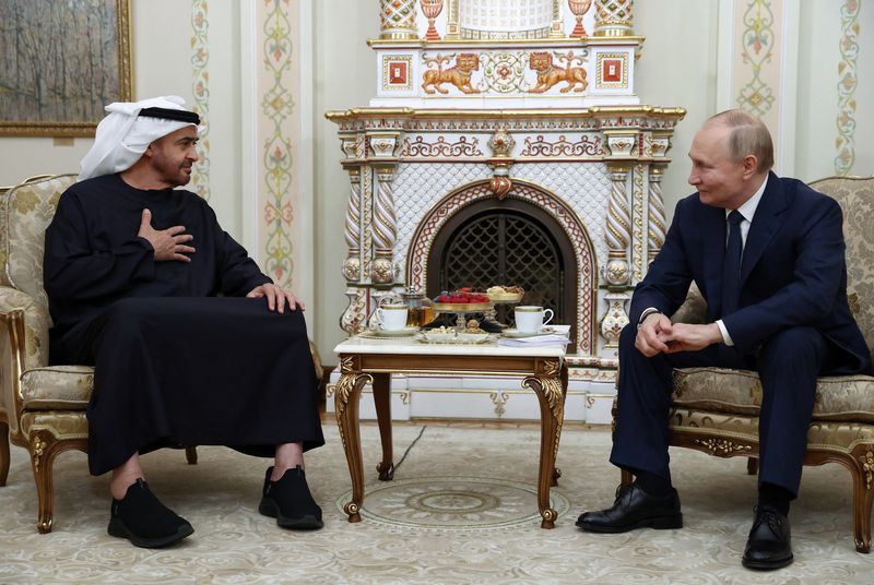 © Reuters. Russia's President Vladimir Putin attends a meeting with the United Arab Emirates' President Sheikh Mohamed bin Zayed Al Nahyan at the Novo-Ogaryovo state residence outside Moscow, Russia October 20, 2024. Sputnik/Artyom Geodakyan/Pool via REUTERS 