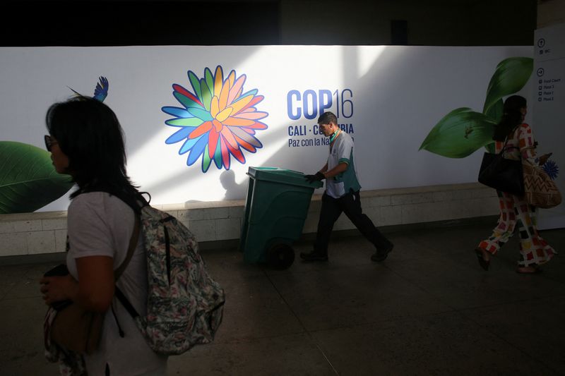 © Reuters. People walk through the Valle del Pacifico event center, ahead of the 16th United Nations Biodiversity Summit (COP16), in Cali, Colombia October 20, 2024. REUTERS/Juan David Duque