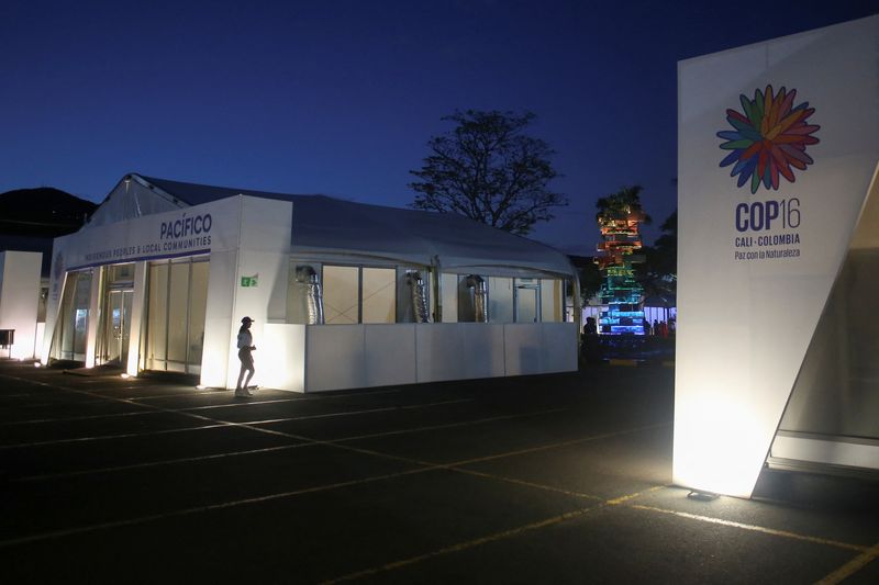 &copy; Reuters. A person walks through the Valle del Pacifico event center, ahead of the 16th United Nations Biodiversity Summit (COP16), in Cali, Colombia October 20, 2024. REUTERS/Juan David Duque