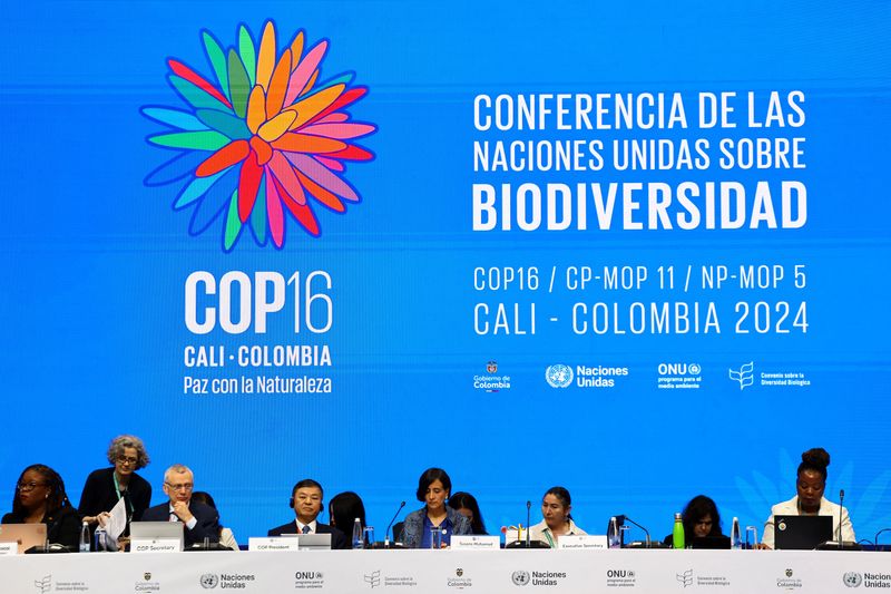 © Reuters. Colombia's Environment Minister Susana Muhamad and other participants attend the opening plenary of the 16th United Nations Biodiversity Summit (COP16), in Yumbo, Colombia October 21, 2024. REUTERS/Luisa Gonzalez