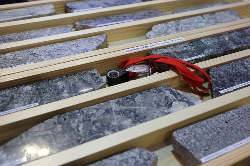 &copy; Reuters. Mining samples are displayed at a Teck Resources booth at the Prospectors and Developers Association of Canada (PDAC) annual conference in Toronto, Ontario, Canada March 1, 2020.  REUTERS/Chris Helgren/ File Photo