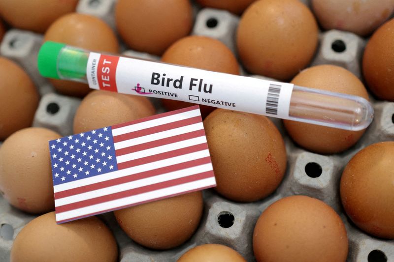 &copy; Reuters. FILE PHOTO: A test tube labelled "Bird Flu", eggs and a piece of paper in the colors of the U.S. national flag are seen in this picture illustration, January 14, 2023. REUTERS/Dado Ruvic/Illustration/File Photo