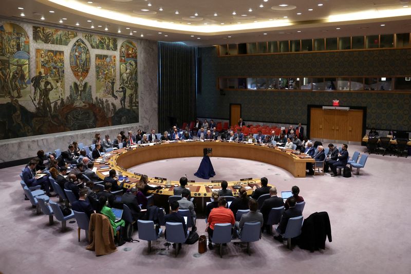 © Reuters. FILE PHOTO: The United Nations Security Council holds a meeting on the situation in Gaza, at U.N. headquarters in New York City, U.S., October 16, 2024.  REUTERS/Brendan McDermid/File Photo