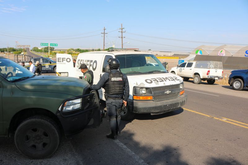 © Reuters. Mexican authorities work at a crime scene where the bodies of executed men were found, according to local media, during a wave of violence in the state of Sinaloa, in El Dorado, Mexico October 25, 2024. REUTERS/Jesus Bustamante