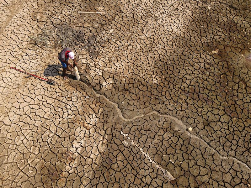 © Reuters. FILE PHOTO: Ivalmir Silva searches for water on Puraquequara Lake, which has been affected by drought, in Manaus Brazil, October 6, 2023. REUTERS/Bruno Kelly/File photo