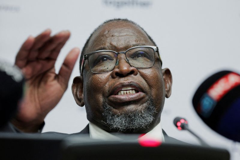 &copy; Reuters. South Africa's Finance Minister Enoch Godongwana speaks at the press conference ahead of his 2024 medium-term budget policy statement in Cape Town, South Africa, October 30, 2024. REUTERS/Shelley Christians