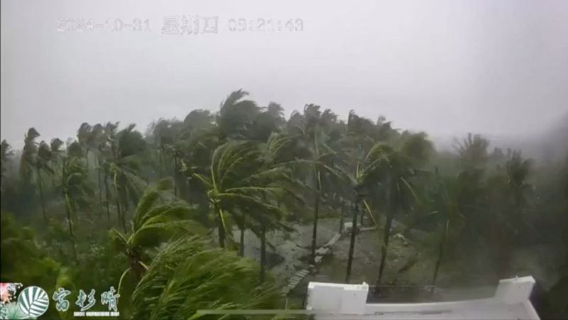 &copy; Reuters. A view of trees blowing in strong winds, as Typhoon Kong-rey makes landfall, in Taitung County, Taiwan October 31, 2024, in this screen grab obtained from a social media video. Rich-Sunshine Inn/via REUTERS