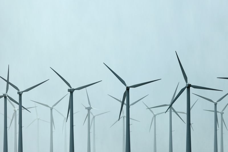 © Reuters. FILE PHOTO: Wind turbines spin near Palm Springs, California, U.S., March 10, 2021.  REUTERS/Mike Blake