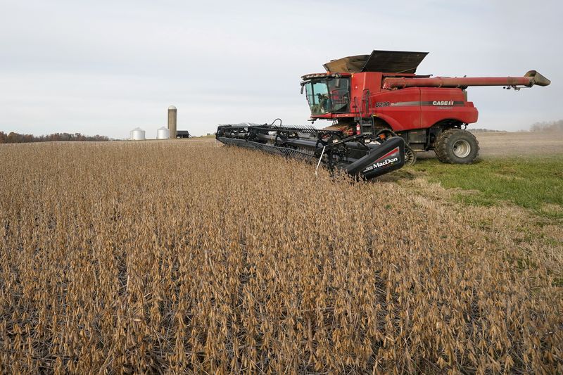 © Reuters. FILE PHOTO: Soybeans are harvested from a field on Hodgen Farm in Roachdale, Indiana, U.S. November 8, 2019. REUTERS/Bryan Woolston/File Photo