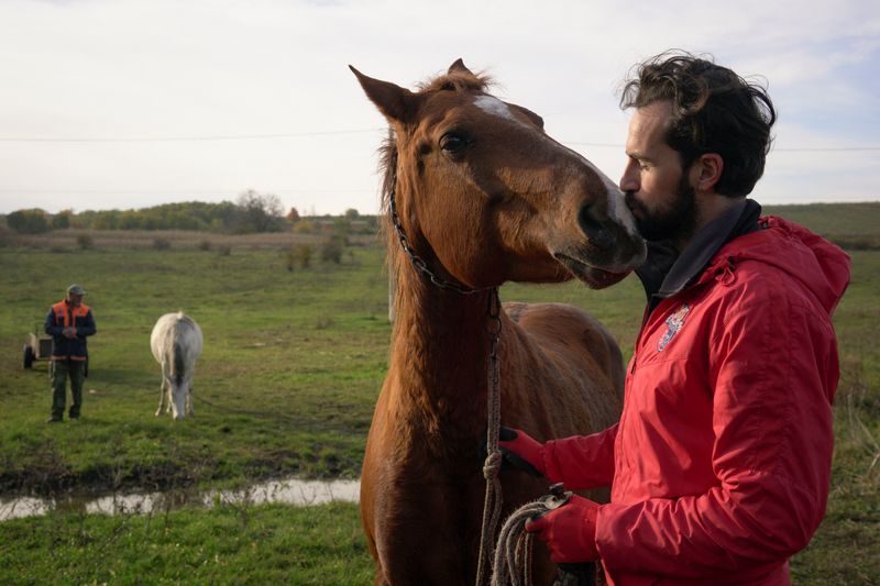 &copy; Reuters. Horse sanctuary co-owner Valeriu Istrati, 36, tends horses at a farm in Riskova, Moldova November 1, 2024.  REUTERS/Anna Voitenko     