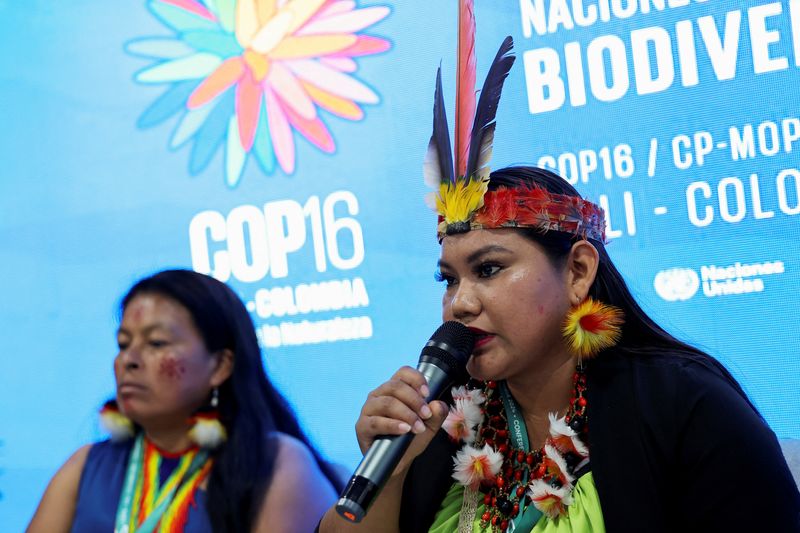 &copy; Reuters. Jhajayra Machoa Mendua, leader of the A'I Cofan nationality, speaks during a press conference at the 16th United Nations Biodiversity Summit (COP16), in Yumbo, Colombia October 31, 2024. REUTERS/Luisa Gonzalez