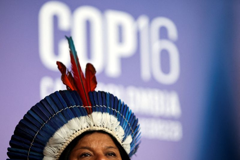 © Reuters. FILE PHOTO: A Brazilian indigenous woman wears a feather headdress, during a press conference at the 16th United Nations Biodiversity Summit (COP16), in Yumbo, Colombia October 31, 2024. REUTERS/Luisa Gonzalez/File Photo