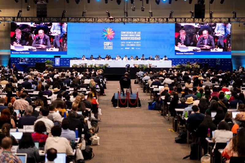 &copy; Reuters. Cúpula da ONU sobre biodiversidade COP16, na Colômbian01/11/2024 REUTERS/Camilo Rodriguez