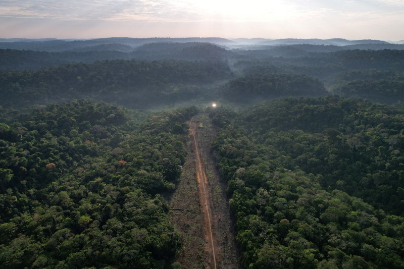 © Reuters. Pista de pouso clandestina para garimpo ilegal no Pará
21/07/2024
REUTERS/Adriano Machado