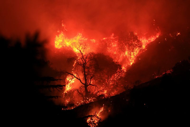 &copy; Reuters. Smoke and flames billow from the Mountain Fire in Santa Paula, California, U.S., November 6, 2024. REUTERS/David Swanson