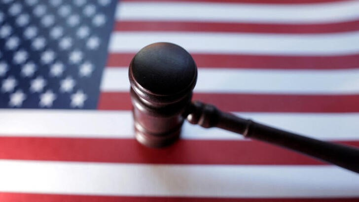 © Reuters. U.S. flag and Judge gavel are seen in this illustration taken, August 6, 2024. REUTERS/Dado Ruvic/Illustration